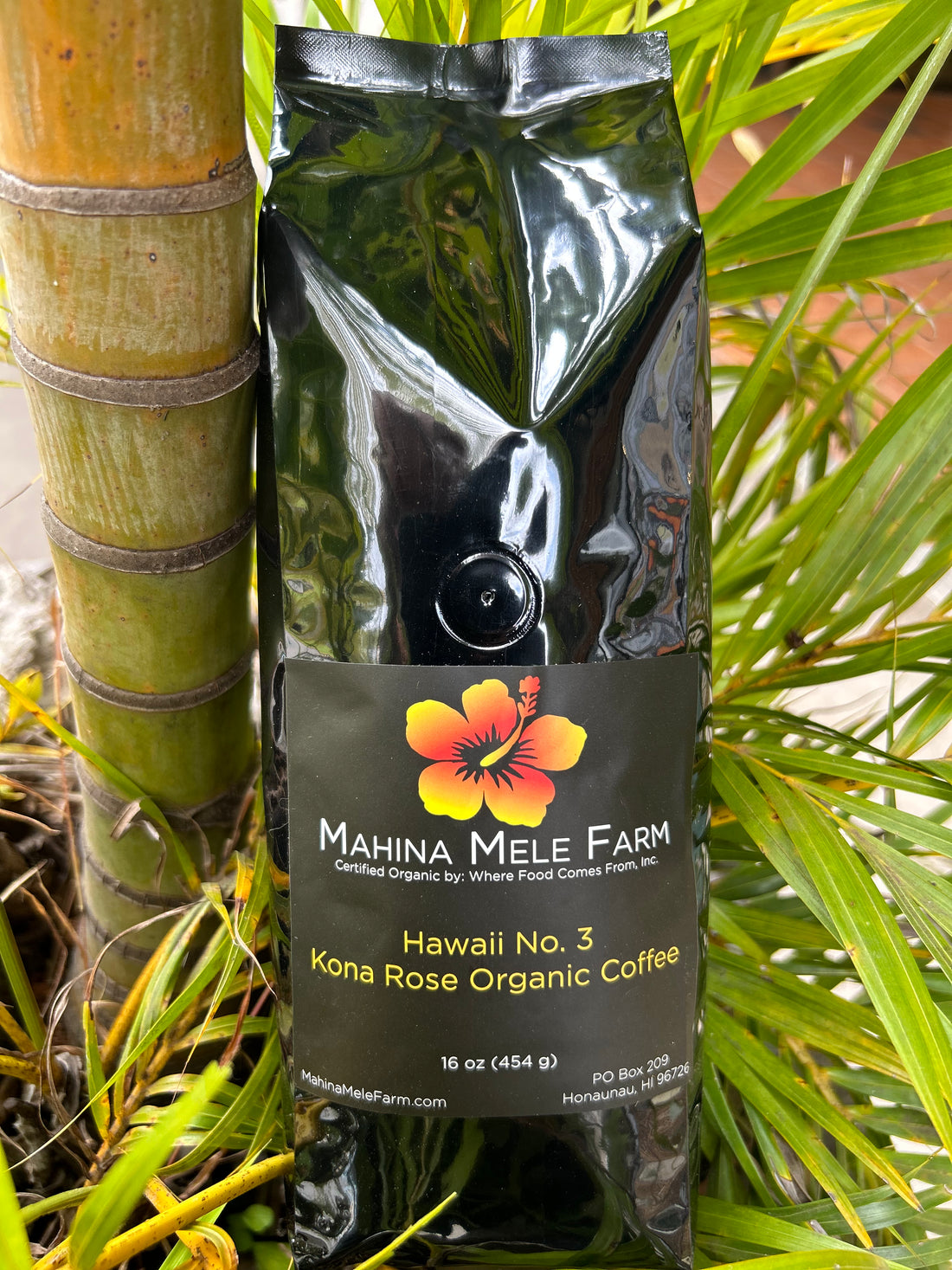 Hawaii No. 3 - My Store