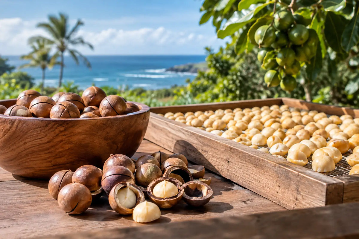 Macadamia Dehydration Freshness Example