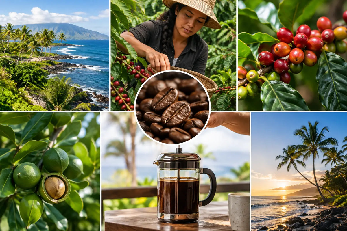 Food Traceability From Our Farm to Your Cup