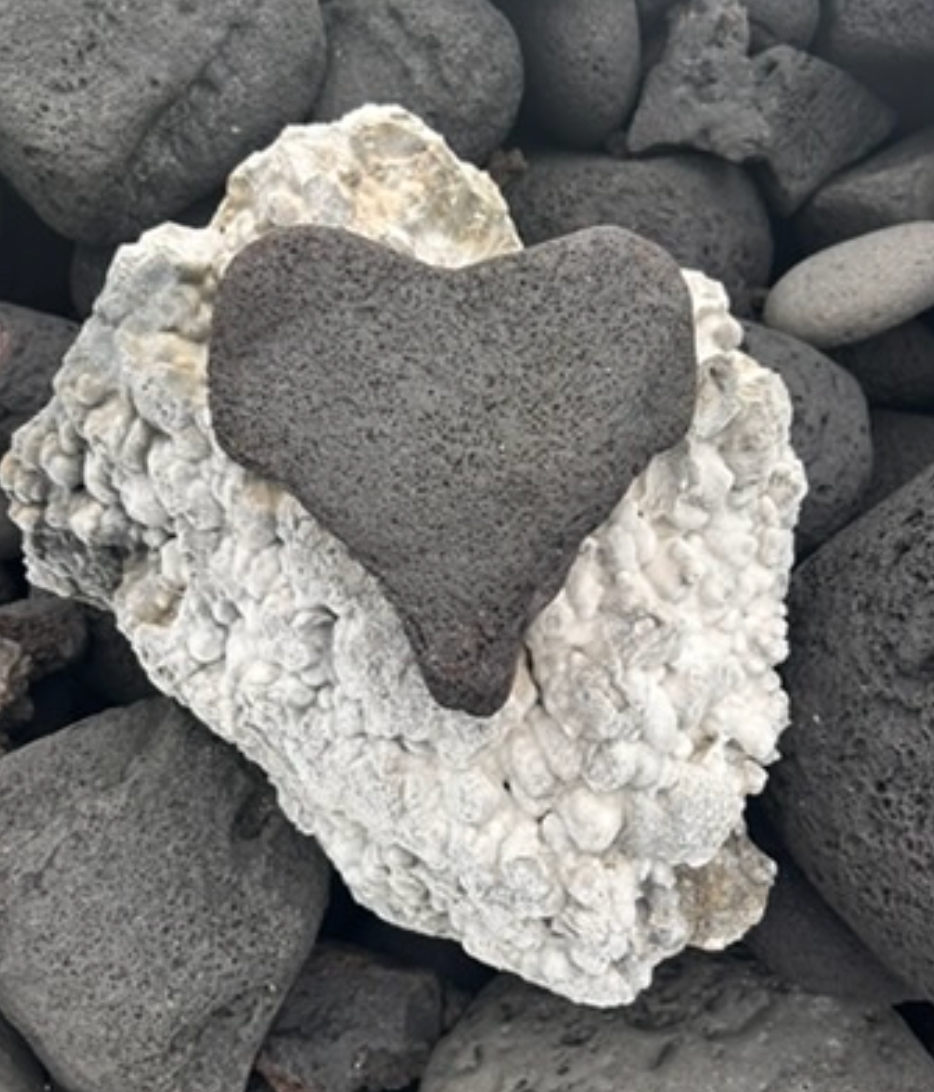 A South Kona Farm Sustainability Example