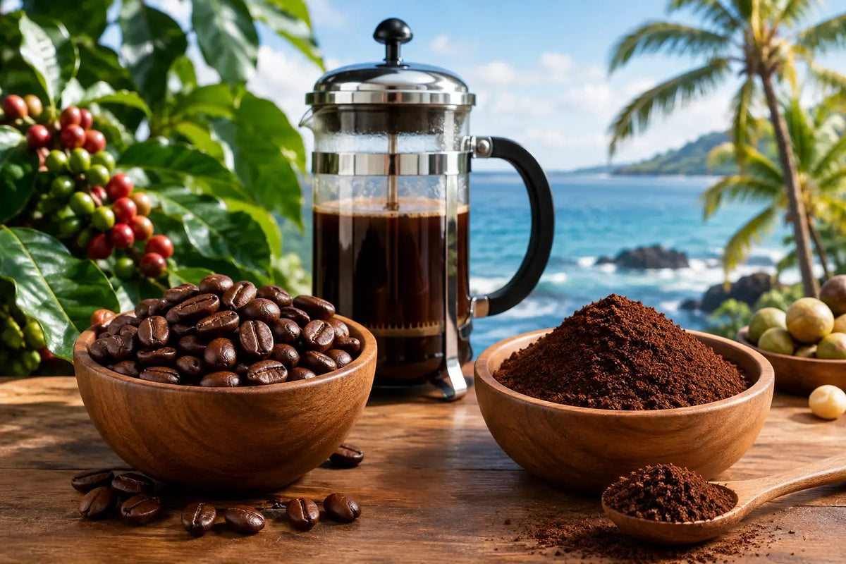 Coffee Beans Versus Ground Coffee: Which Is Better?