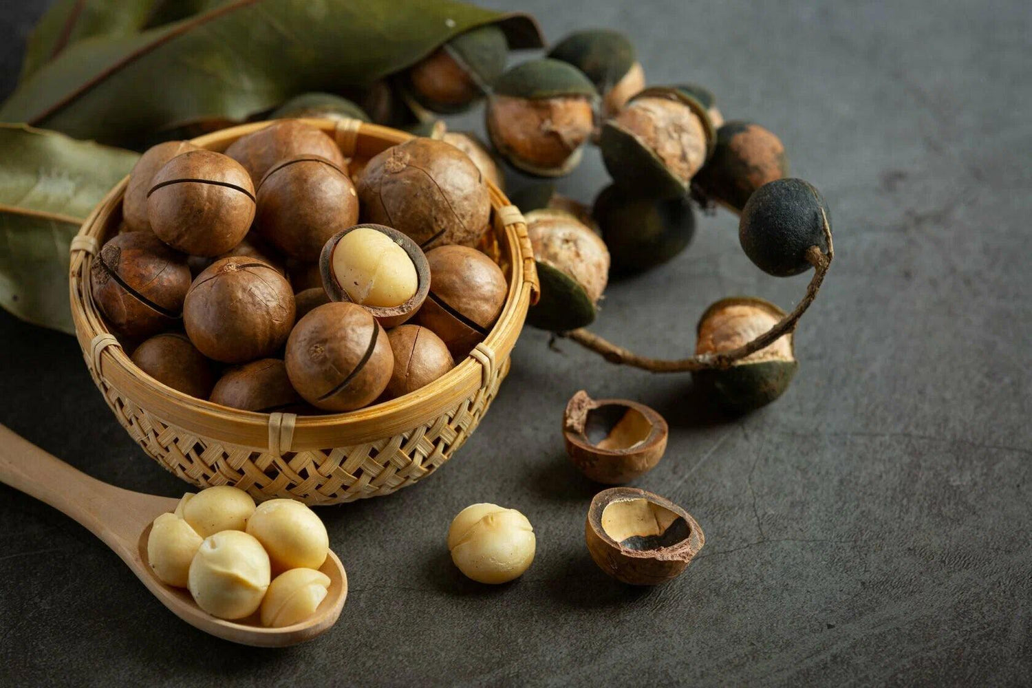 5 Reasons to Add Macadamia Nuts to Your Daily Diet - My Store