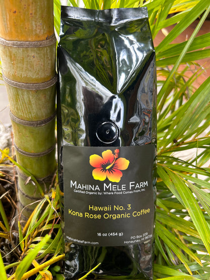 Hawaii No. 3 - My Store