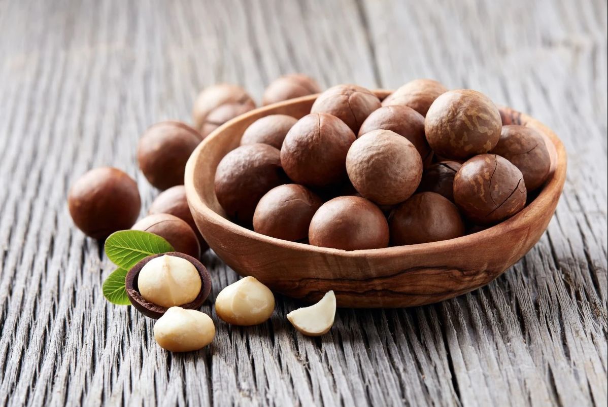 Macadamia Nuts | Buttery, Crunchy, Organic Macadamia Treats – Kona