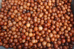 closeup of many macadamia nuts