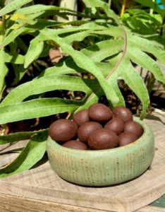 chocolate macadamia nuts